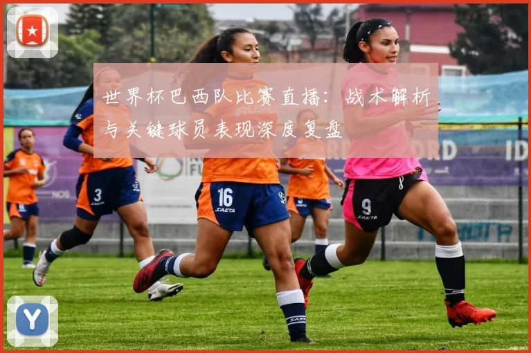 世界杯巴西队比赛直播：战术解析与关键球员表现深度复盘