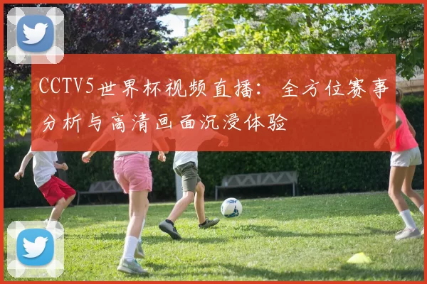 CCTV5世界杯视频直播:全方位赛事分析与高清画面沉浸体验